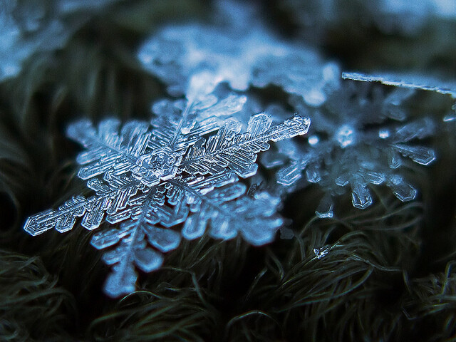 微距摄影下的雪花