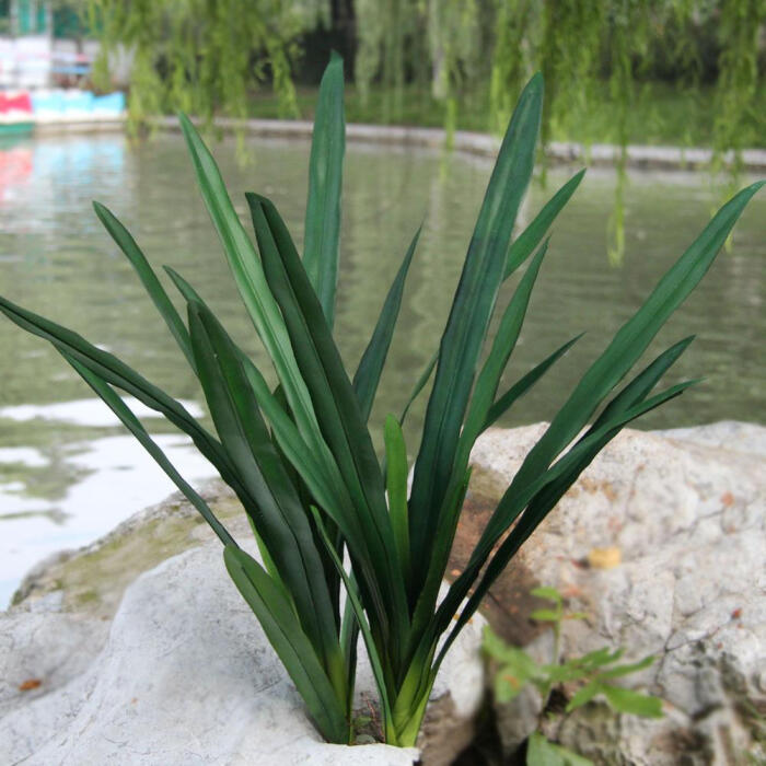 知根 仿真花 兰花草兰花叶 12片蕙兰叶子 装饰植物假花草绿植图片