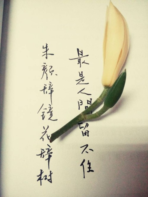 阅读,文学,文字,原创,手写,照片,心情