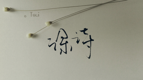 岛歌,手写,原创,黑白,生活,文艺,字句,爱情,色调,唯美,清新,文字,安静图片