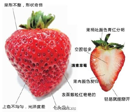 草莓剖面图简笔画图片