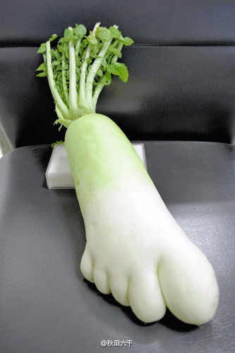 日本那边前段日子发现了一个造型非常像人脚的萝卜……长30cm,重1