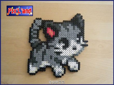 爱生活的猫咪控们怎么少得了给自家喵来一张呢~#拼拼豆豆
