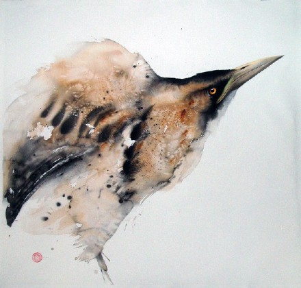 水彩画家 karl mrtens 画的鸟,灵动写意又细致入围