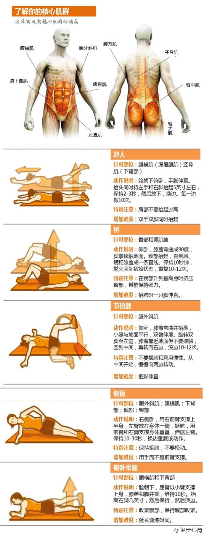 核心肌群训练动作 惠课堂资讯  2018年4月4即使是想的人,力量动作也能