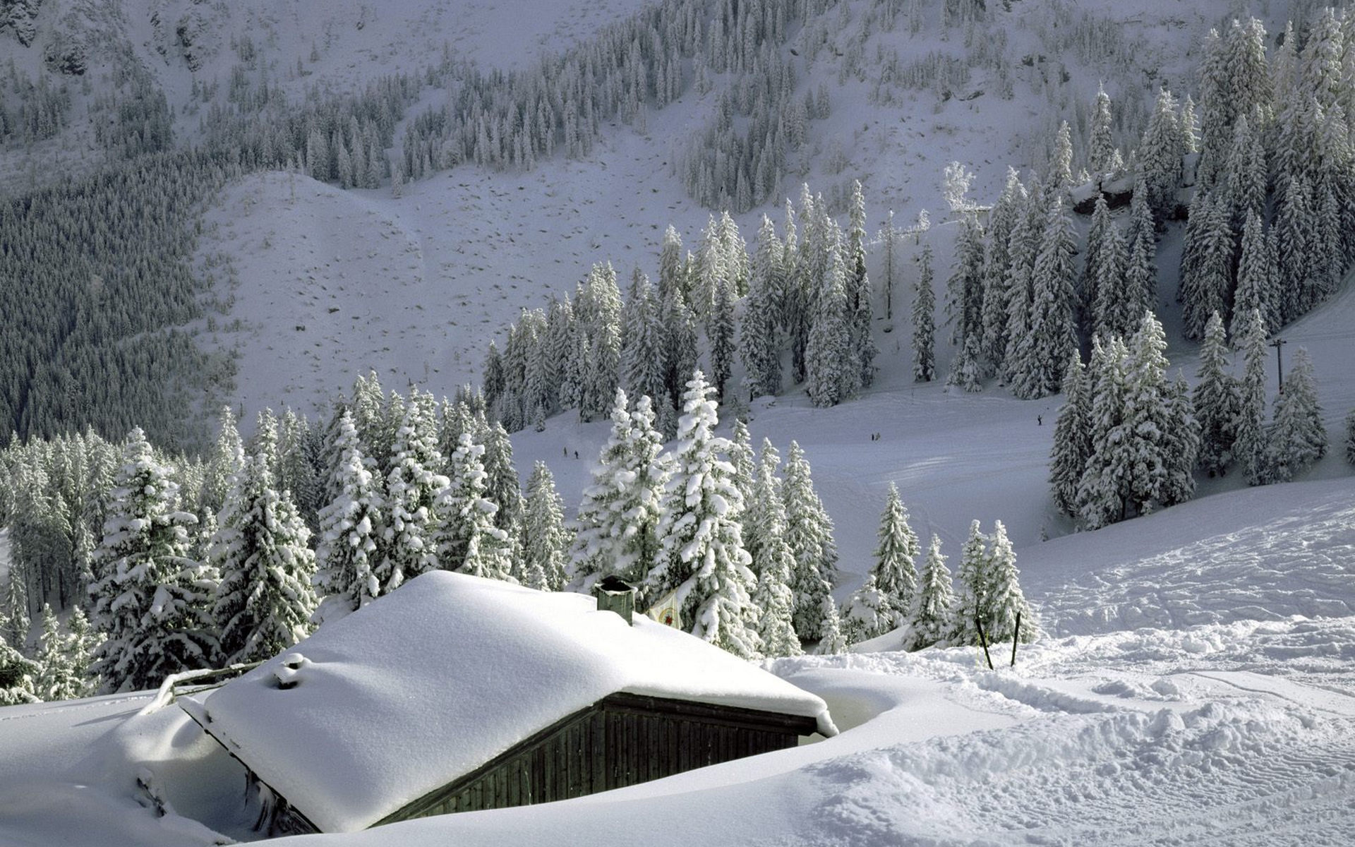 冬季高清雪景桌面壁纸