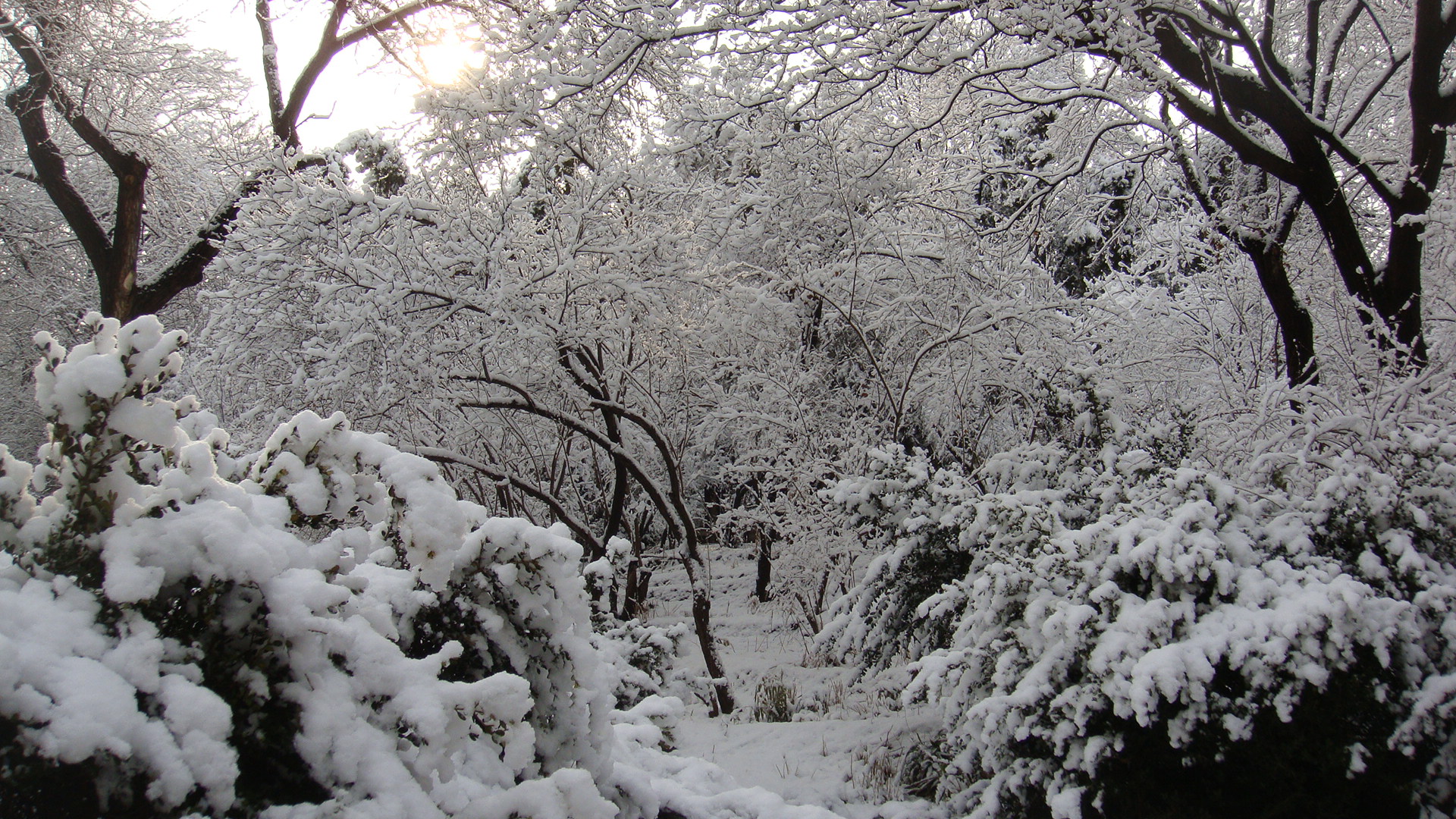 今日小编又来为大家送上一组冬季清新唯美雪景桌面壁纸