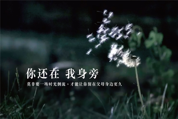 诗意2015春节短片短片央视《央视推出》这段广告或许是时光今年倒流的设计部v诗意图片