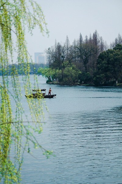 苏堤春景图片图片