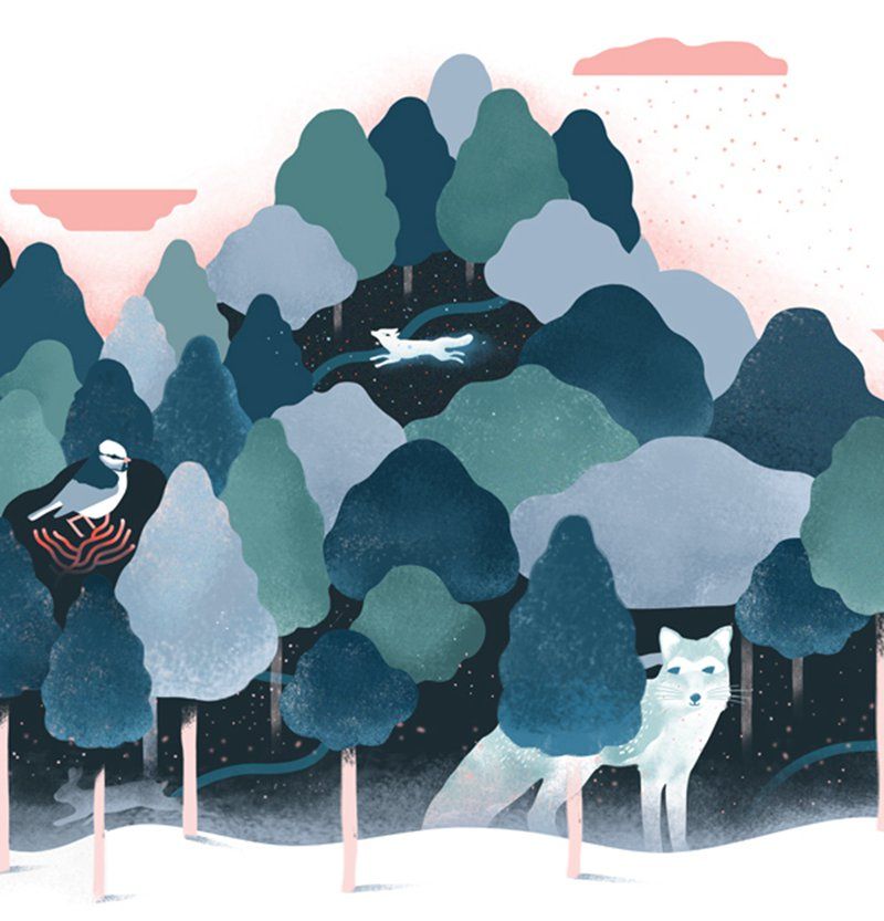 varona 品牌插画《mykita》 网页设计 清新 手绘 安静 商业插画 品牌