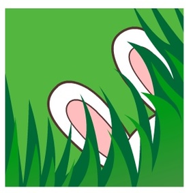 毛毛兔动画片图片