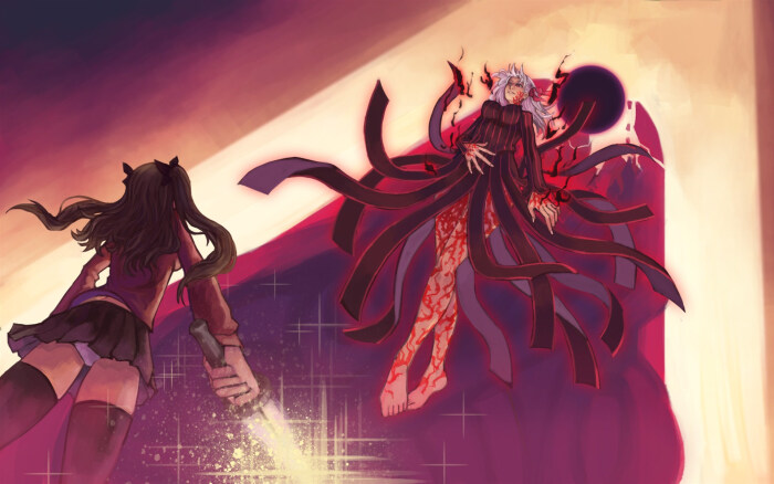 fate stay night,fate zero
