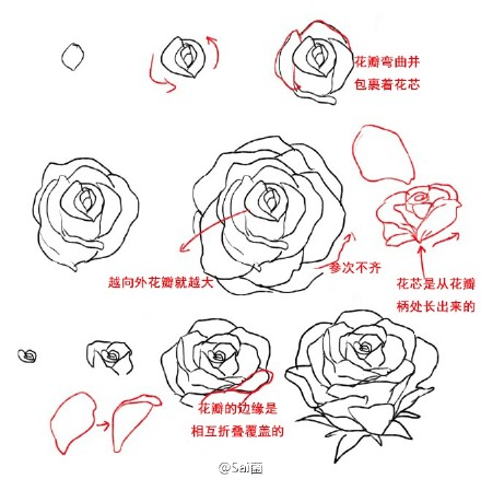 玫瑰花动漫画法入门图片