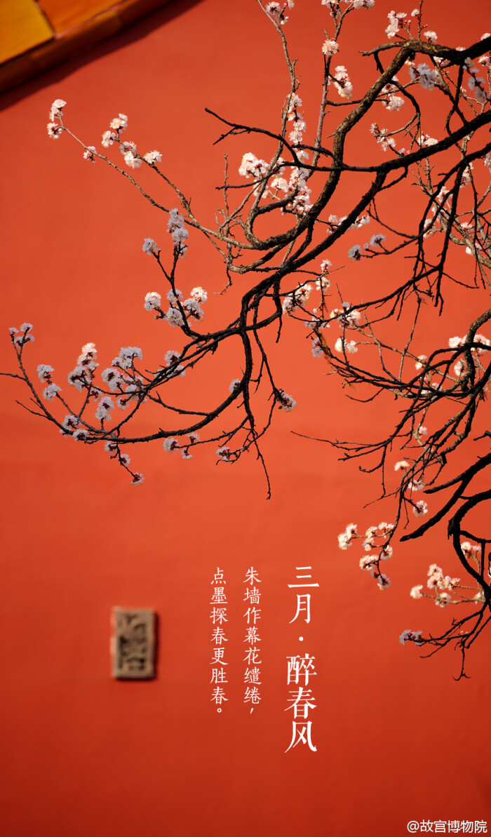 朱墙作幕花缱绻,点墨探春更胜春.