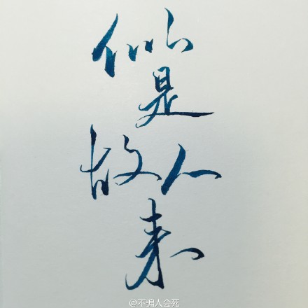 似是故人来.图片