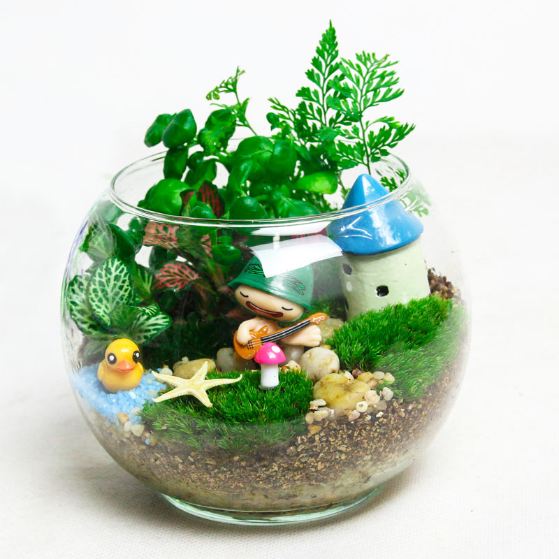 苔藓微景观龙猫办公室桌面小盆景创意迷你新奇植物生态瓶摆件diy
