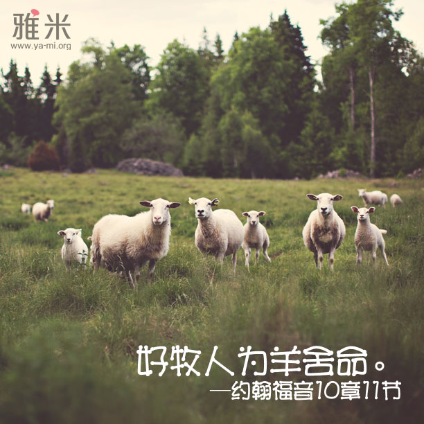 天父,如同我们关心所爱的人或物,祢更关心我们这些属于祢的儿女!