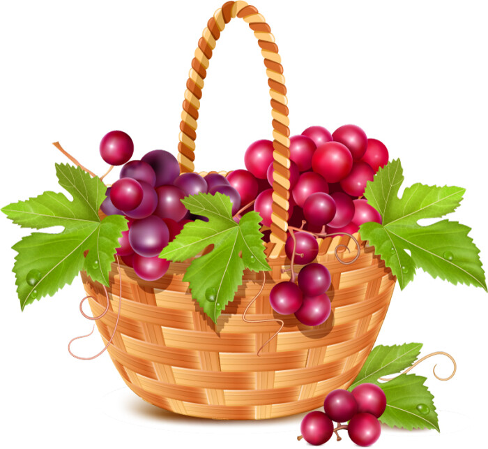 水果篮里的葡萄矢量素材,素材格式:eps,素材关键词:葡萄,水果篮