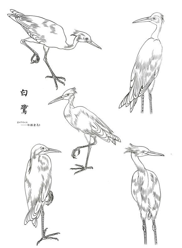 白描线稿