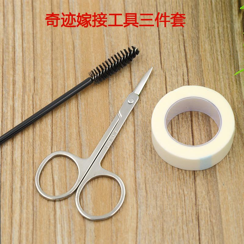 奇迹嫁接睫毛工具三件套 pe睫毛隔离胶布 睫毛专用剪刀 睫毛梳子