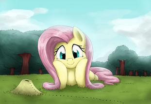 fluttershy(小蝶\柔柔)_小马宝莉吧_百