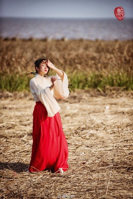 【廿四节气 白露】蒹葭采采,白露未已.所谓伊人,在水之涘.