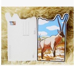 【渔家纸品】咕噜噜异形藏羚羊动物异形明信片postcrossing