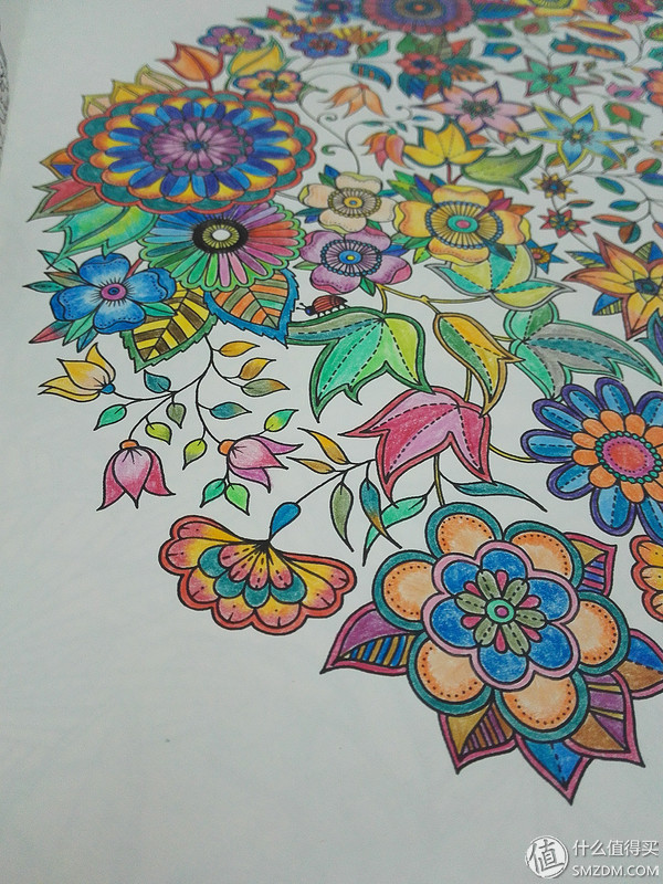 绘画本 or 填色本?《秘密花园》(secret garden中文版)手绘涂色书