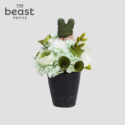the beast 野兽派 新品 芳香蜡杯花 永生花礼盒 香氛礼物