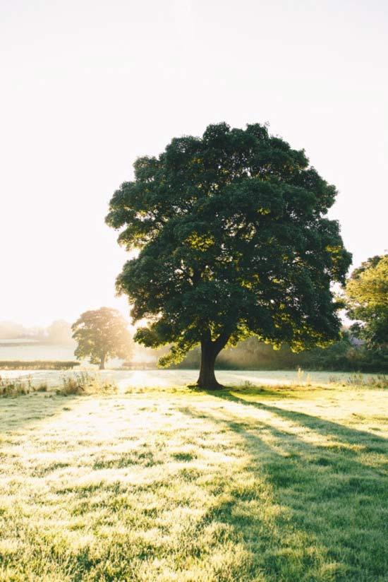 "这句话不是冷漠,而是成熟._王丰文 - 美丽鸟