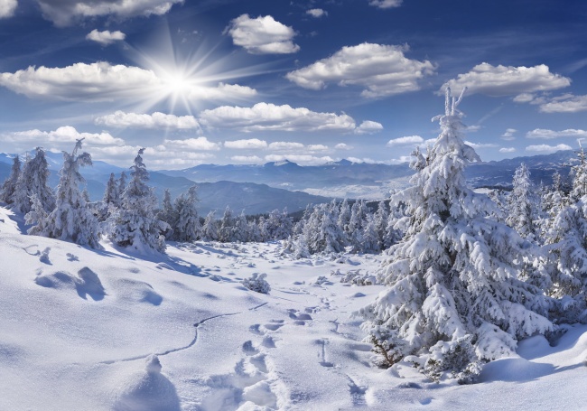 冬天冰雪