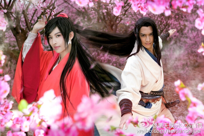 感谢《桃花》作者映日孤烟授权, 导演@allen丁伦