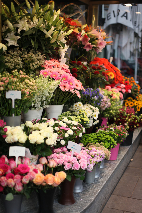 花店的一角