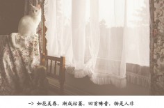 回首畴昔,物是人非_情感小清新文字配图