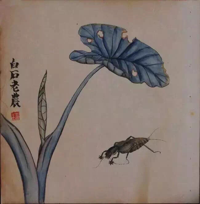 齐白石早期工笔画图片