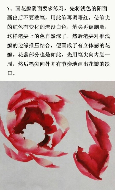 王雪涛画牡丹步骤图片