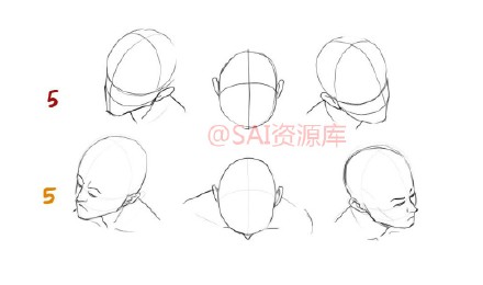 sai资源库# 动漫人物头部教程&amp;角度参考,帮你更好的了解五官