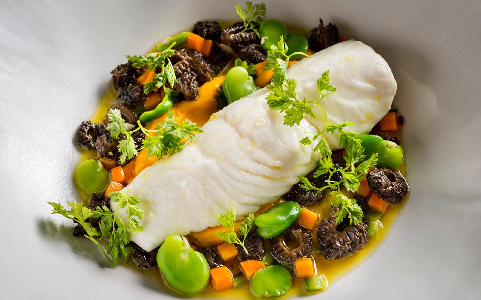 slowly cooked halibut, carrots, favas and morel vinaigrette
