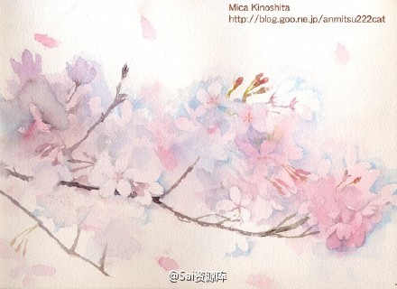 绘画粉色花绘,非常安静及唯美!(作者:mica kinoshita)