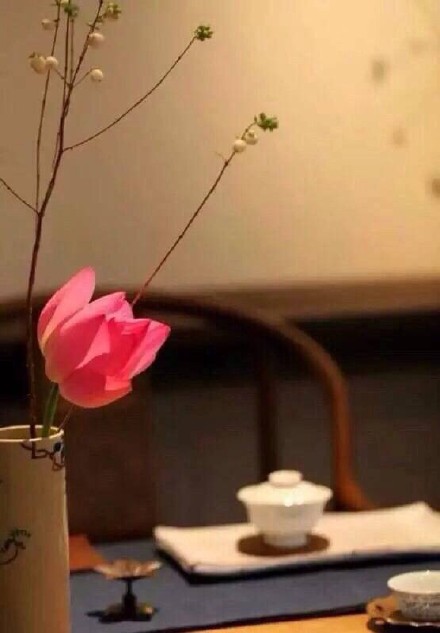 莫道醉人唯美酒,茶香入心亦醉人