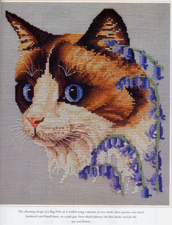 外国猫刺绣十字绣