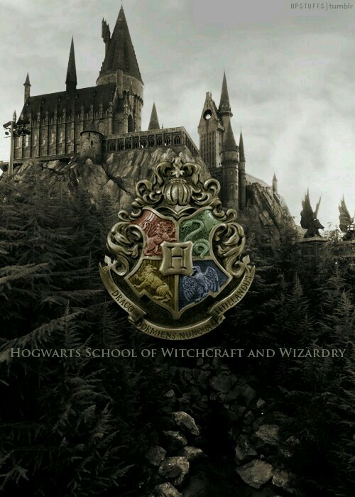 Hogwarts,potter hogwarts school of witchcraft and wizardry