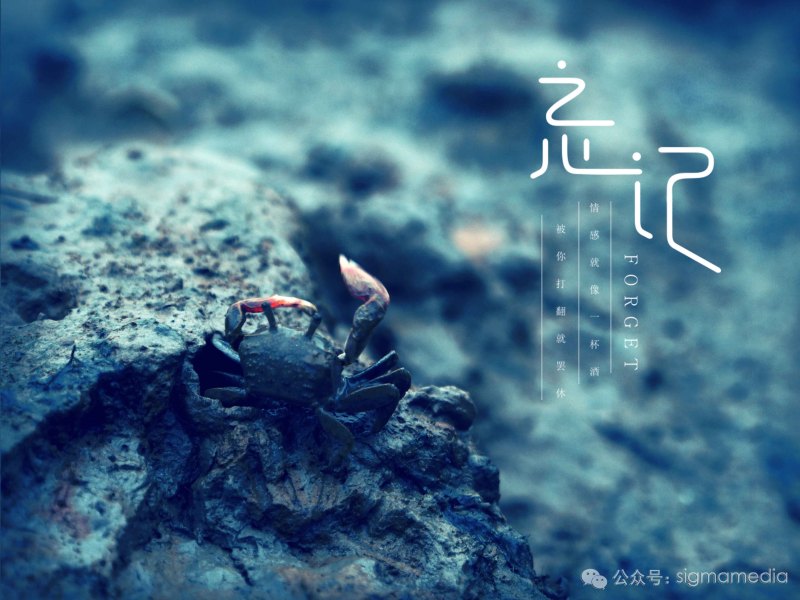 原创字体设计——忘记