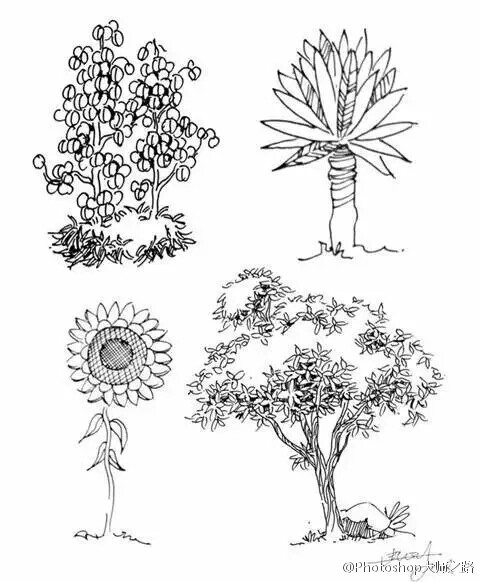 世界植被图手绘图片