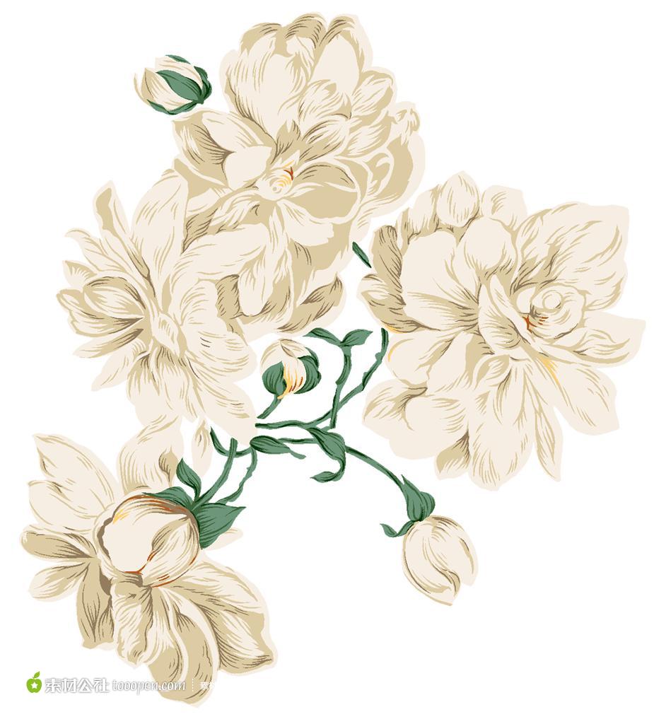 花朵花卉插画素材下载
