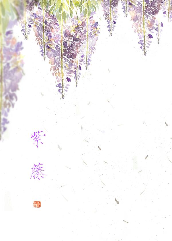 紫藤花 