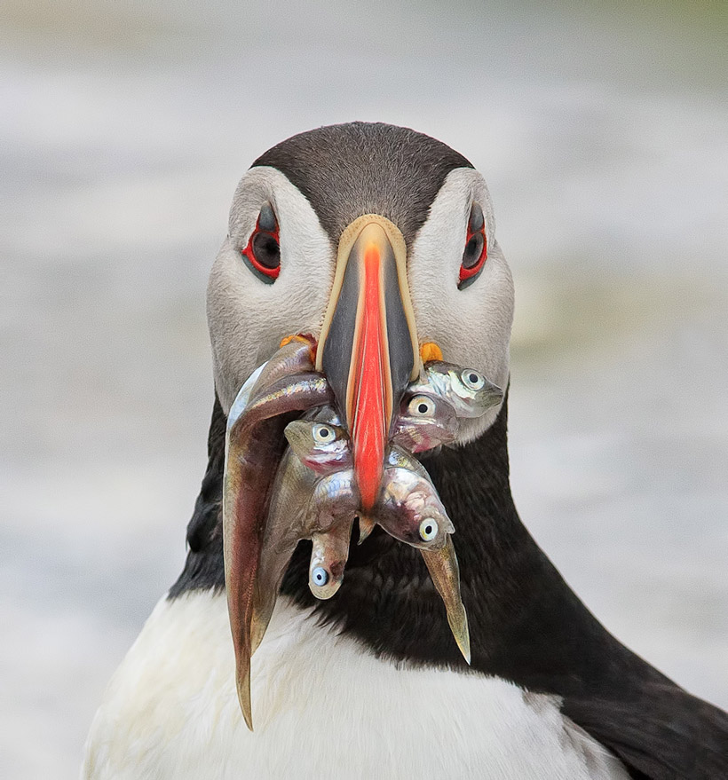 a mouthful. photo by carol nichols
