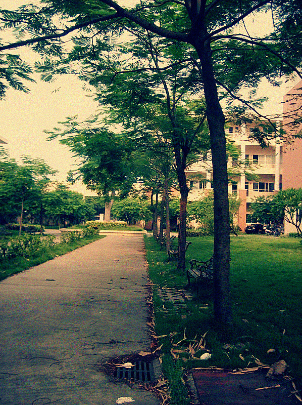 高中,学校.-堆糖,美好生活研究所