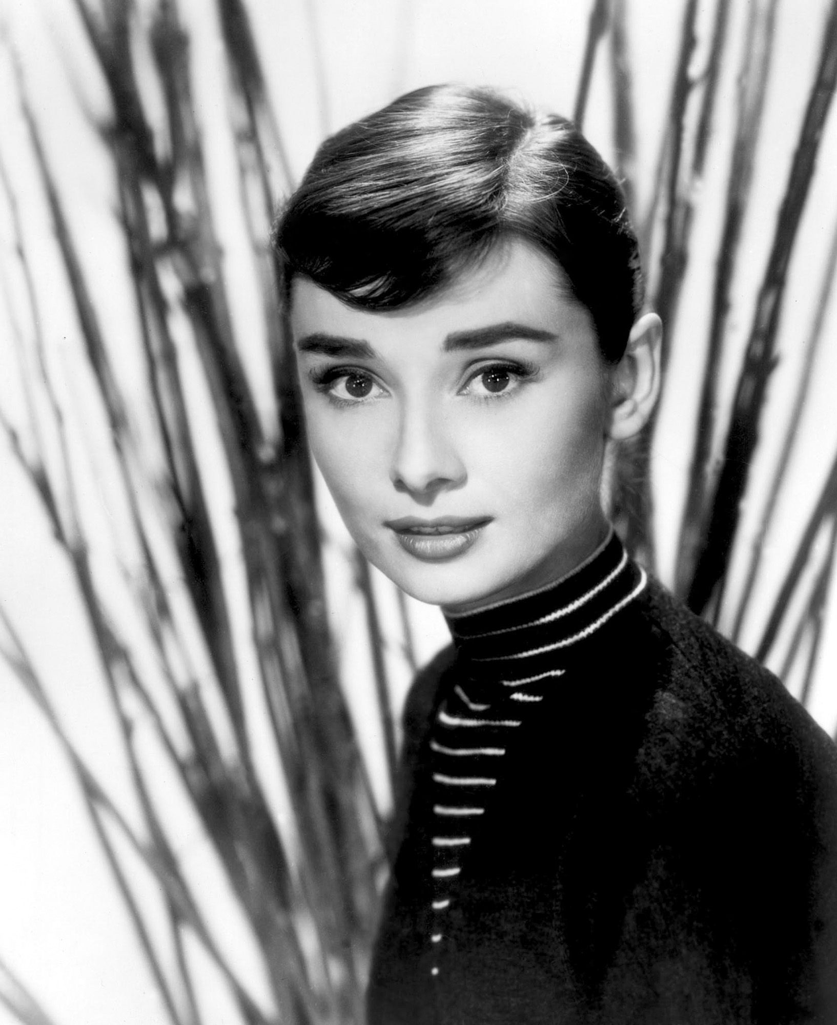 奥黛丽·赫本 audrey hepburn