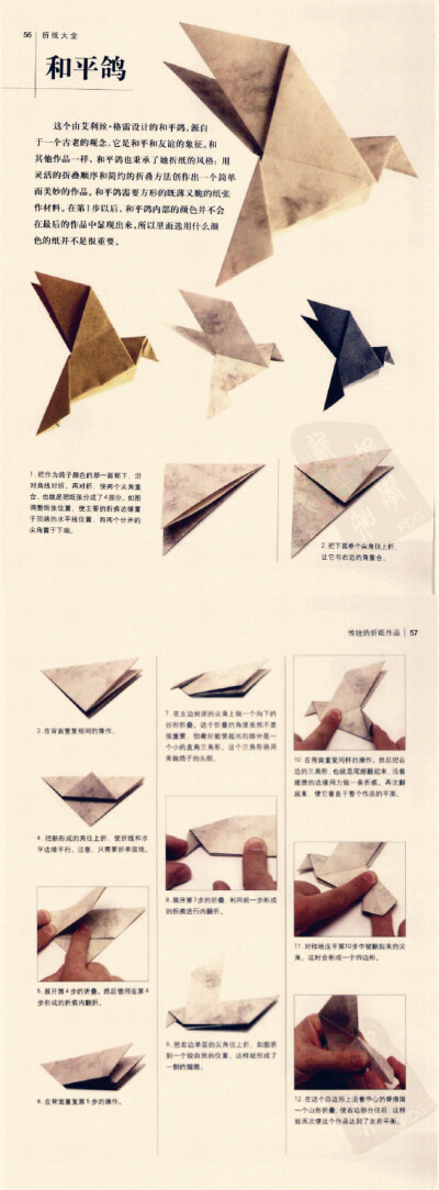 鸽子折纸步骤图简单图片